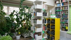 Новых земских работников культуры примет Ставрополье в 2026 году