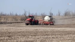 Весенне-полевые работы стартовали в Андроповском округе