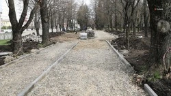 Благоустройство аллеи началось в селе Курсавка