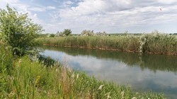 Более 10 тыс. ставропольцев приняли участие в акции «Вода России»