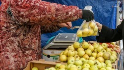 Ещё одну ярмарочную площадку открыли в Андроповском округе по инициативе жителей
