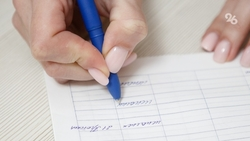 Жительница Курсавки открыла студию воздушных шаров по соцконтракту