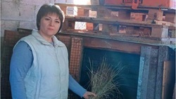 Жительница Андроповского округа стала развивать подсобное хозяйство благодаря господдержке