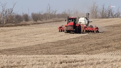 Более 4 тыс. единиц аграрной техники подготовили к весеннему севу на Ставрополье