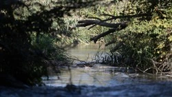 Зоны возможных подтоплений проинспектируют на Ставрополье 