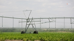 На Ставрополье ежегодно увеличивают площади орошаемых земель на 5-7 тыс. га