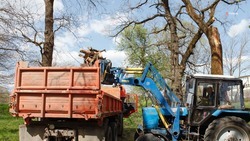 Жители Андроповского округа приняли участие во Всероссийском субботнике