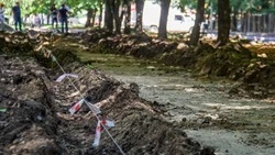 Жители Андроповского округа проголосуют за благоустройство общественных территорий