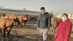 Зимовка скота на Ставрополье не вызывает опасений