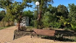 Сквер возле сельского Дома культуры благоустроили в Андроповском округе 