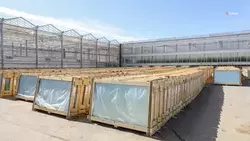 На Ставрополье в 2022 году завершат строительство теплицы для круглогодичного производства овощей 