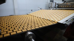 Больше 5 тыс. тонн сладостей экспортировали со Ставрополья с начала 2025 года