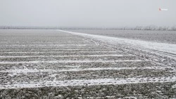Под охраной противоградовой службы находится около 840 тыс. га ставропольских полей 