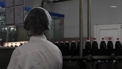 На Ставрополье продолжают развивать производство безалкогольных напитков из отечественного сырья
