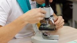 Более 6 тыс. учеников примут профильные классы Ставрополья